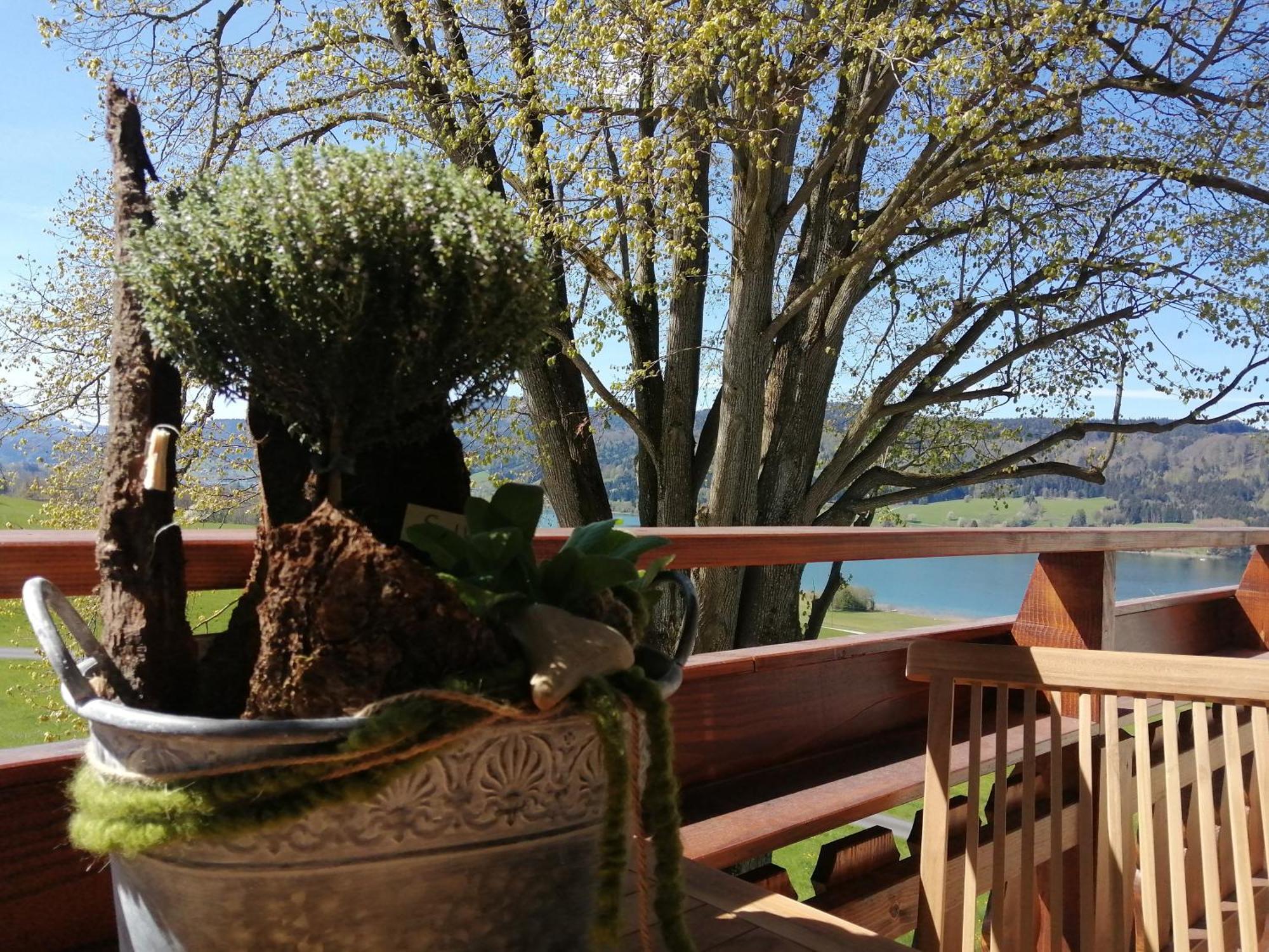 Roiderhof Irrsee Oberhofen am Irrsee Buitenkant foto
