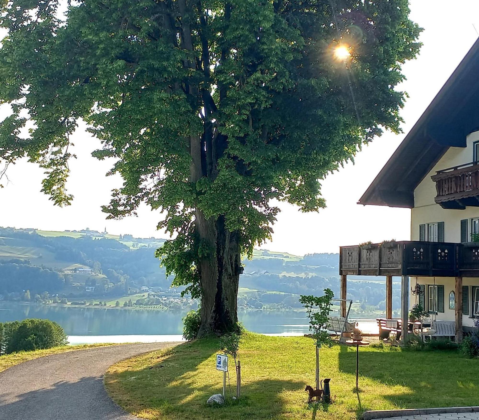 Roiderhof Irrsee Oberhofen am Irrsee Buitenkant foto
